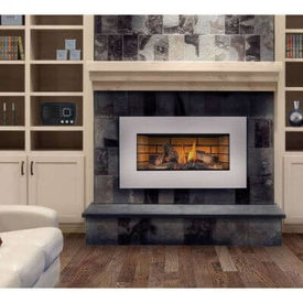 Gas Fireplace Insert