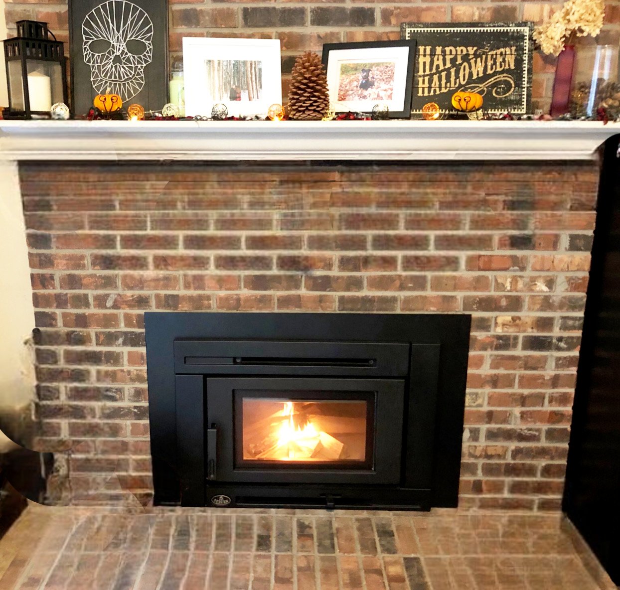 Wood Burning Fireplace Inserts