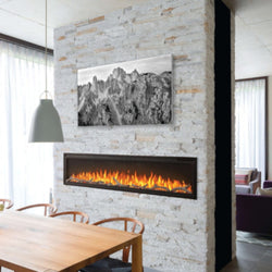 Napoleon Entice Series Electric Fireplace