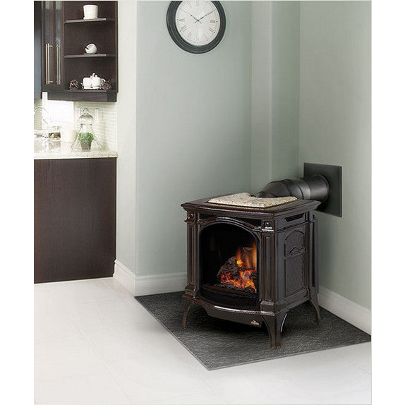 Direct Vent Gas Stove - Napoleon GDS25 Bayfield