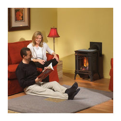 Direct Vent Gas Stove - Napoleon GDS20 Arlington