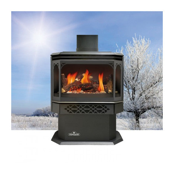 Direct Vent Gas Stove - Napoleon GDS28 Haliburton
