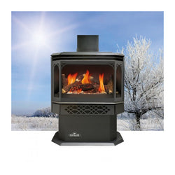 Direct Vent Gas Stove - Napoleon GDS28 Haliburton