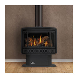 Direct Vent Gas Stove - Napoleon GDS50 Havelock