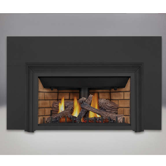 Direct Vent Gas Fireplace Insert by Napoleon | Napoleon GDIZC