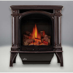 Direct Vent Gas Stove - Napoleon GDS25 Bayfield