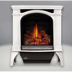 Direct Vent Gas Stove - Napoleon GDS25 Bayfield