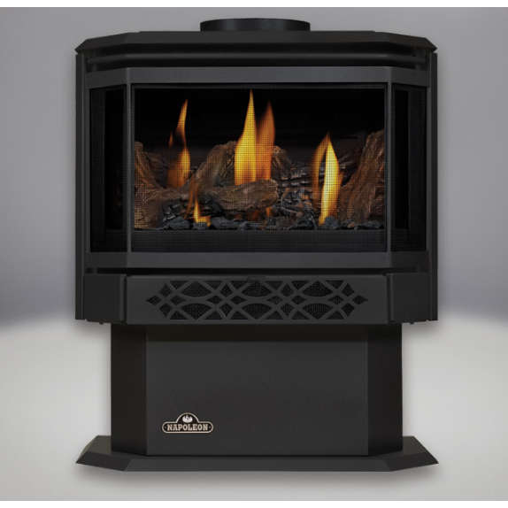 Direct Vent Gas Stove - Napoleon GDS28 Haliburton