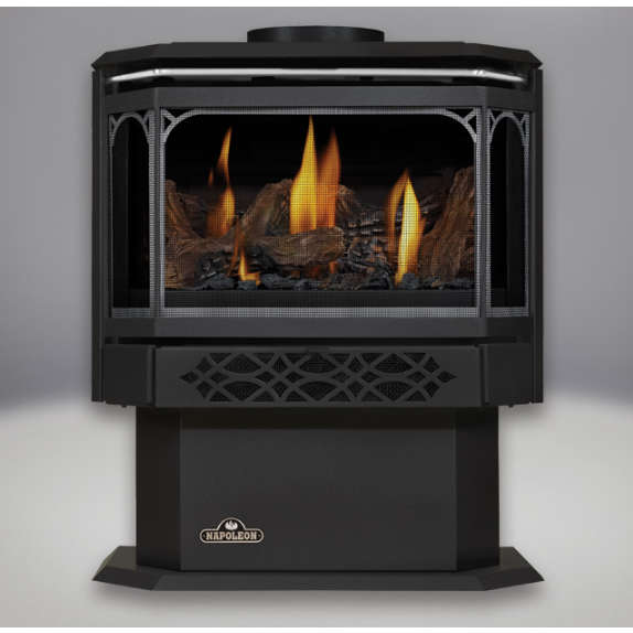 Direct Vent Gas Stove - Napoleon GDS28 Haliburton