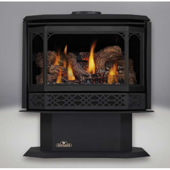 パイオニア　　PLX505 Napoleon GDS50 Gas Stove - Direct Vent Gas Stoves by Napoleon