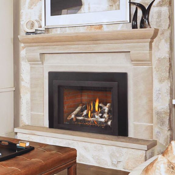 Napoleon Oakville X4 Gas Fireplace Insert | Gas Fireplace Insert