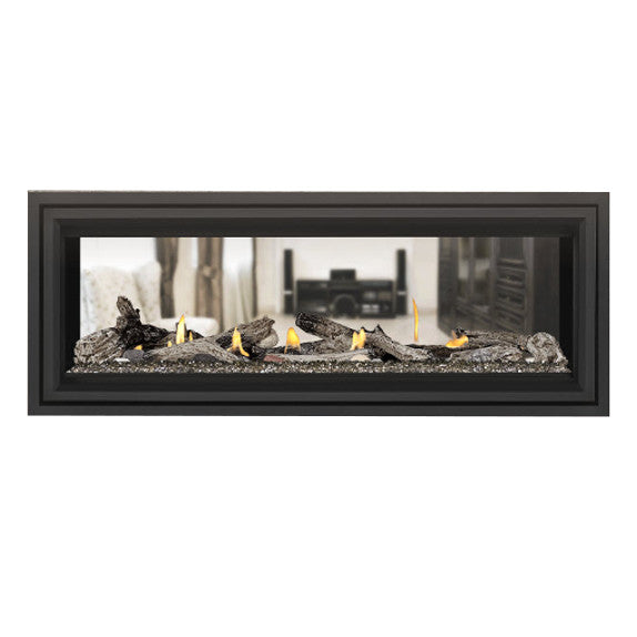Napoleon Vector 50 Gas See Through Fireplace | Direct Vent Gas